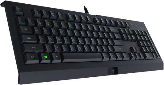 Razer Cynosa Lite Essential Gaming Keyboard